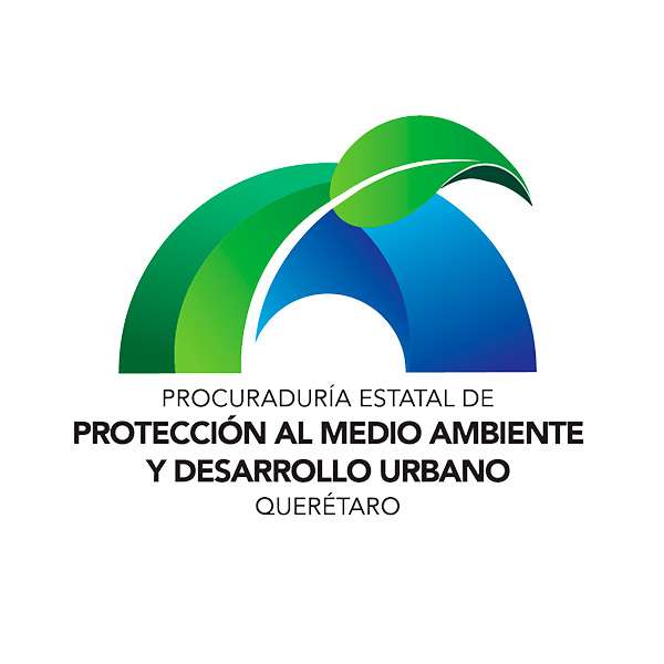 Tú Puedes