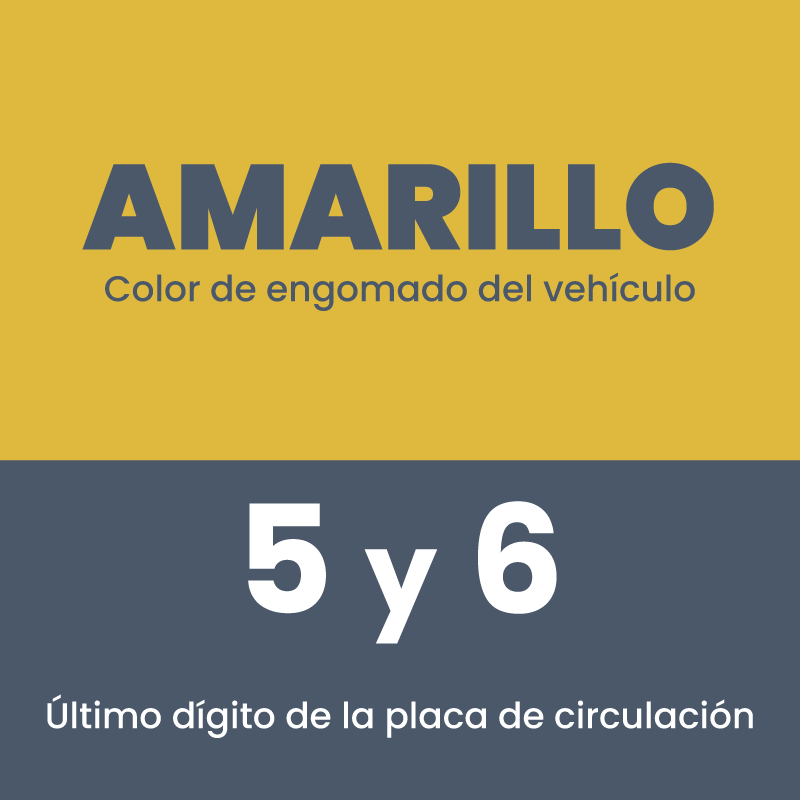 Amarillo 5 y 6