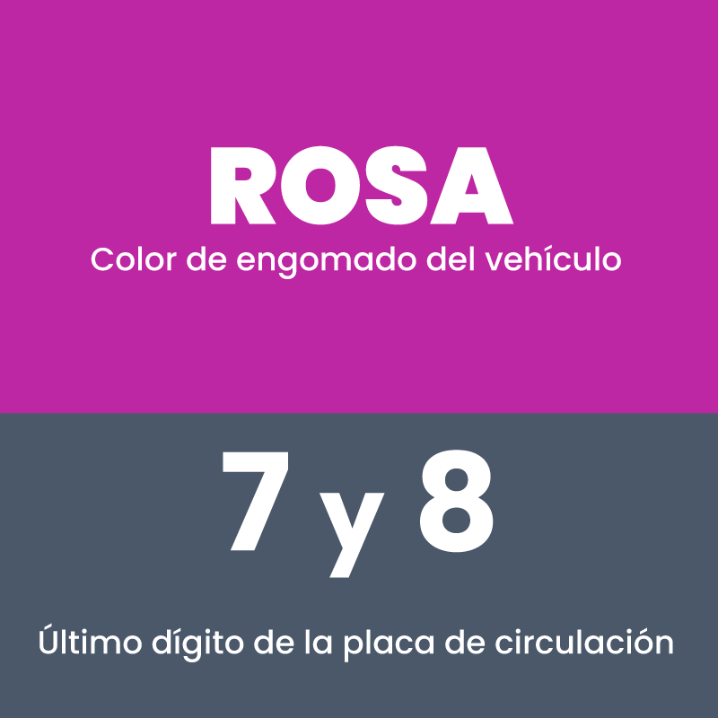 Rosa 7 y 8